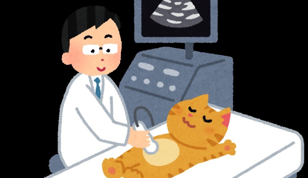 現在の健康保険証は使用できなくなります