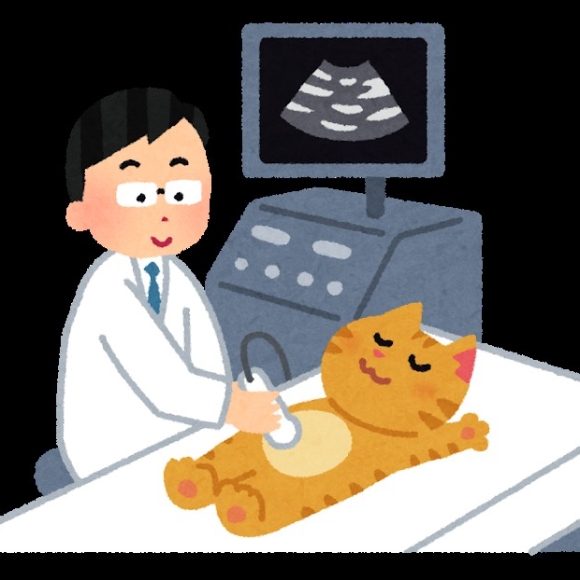現在の健康保険証は使用できなくなります